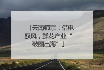 云南师宗：借电驭风，鲜花产业“破圈出海”
