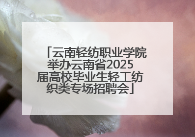 云南轻纺职业学院举办云南省2025届高校毕业生轻工纺织类专场招聘会