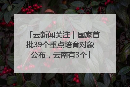 云新闻关注｜国家首批39个重点培育对象公布，云南有3个