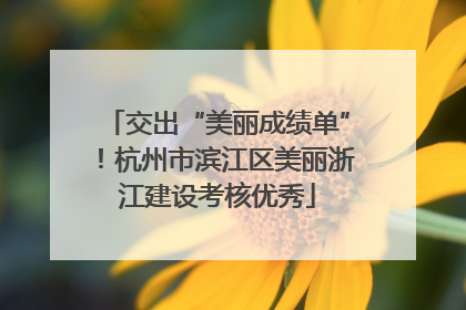 交出“美丽成绩单”！杭州市滨江区美丽浙江建设考核优秀