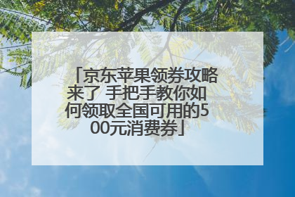 京东苹果领券攻略来了 手把手教你如何领取全国可用的500元消费券
