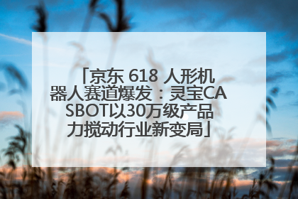 京东 618 人形机器人赛道爆发：灵宝CASBOT以30万级产品力搅动行业新变局