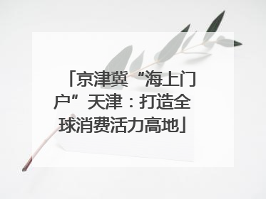 京津冀“海上门户”天津：打造全球消费活力高地