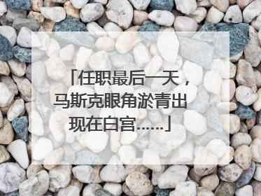 任职最后一天，马斯克眼角淤青出现在白宫……