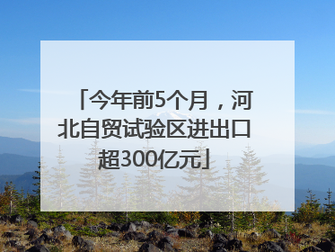 今年前5个月，河北自贸试验区进出口超300亿元