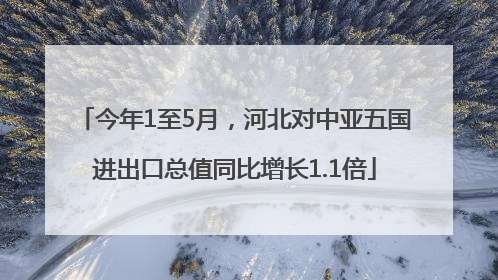 今年1至5月，河北对中亚五国进出口总值同比增长1.1倍