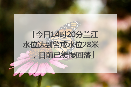 今日14时20分兰江水位达到警戒水位28米，目前已缓慢回落