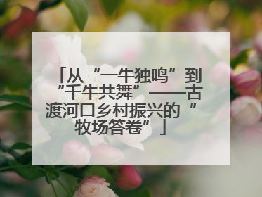 从“一牛独鸣”到“千牛共舞”——古渡河口乡村振兴的“牧场答卷”