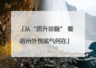从“质升量稳” 看宿州外贸底气何在