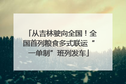 从吉林驶向全国！全国首列粮食多式联运“一单制”班列发车