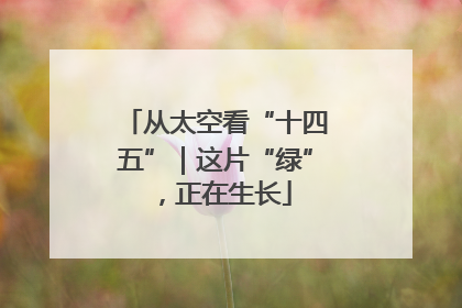 从太空看“十四五”｜这片“绿”，正在生长