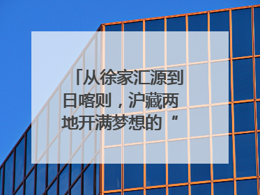 从徐家汇源到日喀则，沪藏两地开满梦想的“格桑花”！