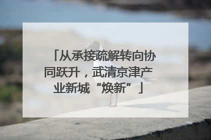 从承接疏解转向协同跃升，武清京津产业新城“焕新”