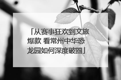 从赛事狂欢到文旅爆款 看常州中华恐龙园如何深度破圈