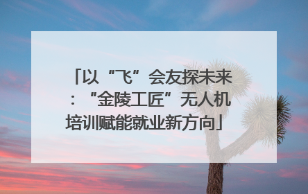 以“飞”会友探未来：“金陵工匠”无人机培训赋能就业新方向
