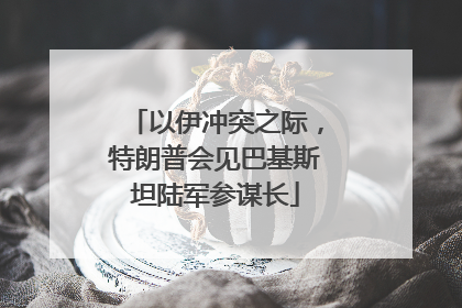 以伊冲突之际，特朗普会见巴基斯坦陆军参谋长