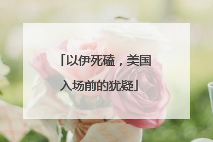 以伊死磕，美国入场前的犹疑