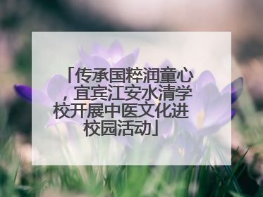 传承国粹润童心，宜宾江安水清学校开展中医文化进校园活动