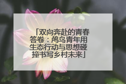 双向奔赴的青春答卷：鸬鸟青年用生态行动与思想碰撞书写乡村未来