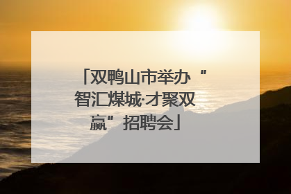 双鸭山市举办“智汇煤城·才聚双赢”招聘会