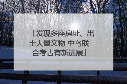 发现多座房址、出土大量文物 中乌联合考古有新进展