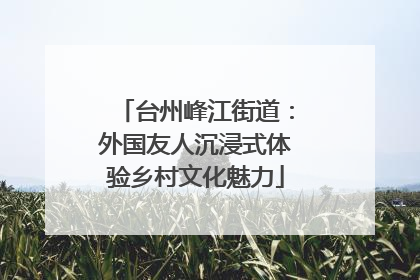 台州峰江街道：外国友人沉浸式体验乡村文化魅力