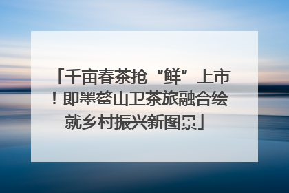千亩春茶抢“鲜”上市！即墨鳌山卫茶旅融合绘就乡村振兴新图景