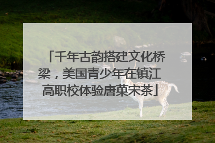 千年古韵搭建文化桥梁，美国青少年在镇江高职校体验唐菓宋茶