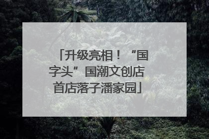 升级亮相！“国字头”国潮文创店首店落子潘家园