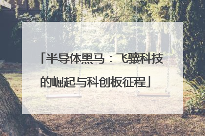 半导体黑马：飞骧科技的崛起与科创板征程