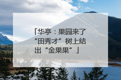 华亭：果园来了“田秀才”树上结出“金果果”