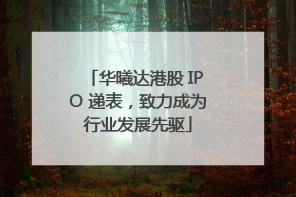 华曦达港股 IPO 递表，致力成为行业发展先驱