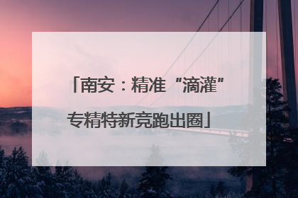 南安：精准“滴灌”专精特新竞跑出圈