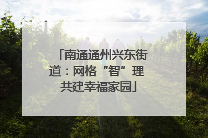 南通通州兴东街道：网格“智”理 共建幸福家园