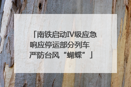 南铁启动Ⅳ级应急响应停运部分列车 严防台风“蝴蝶”