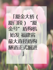 厦金大桥（厦门段）“厦金号”盾构机始发 福建省最大直径盾构隧道正式掘进