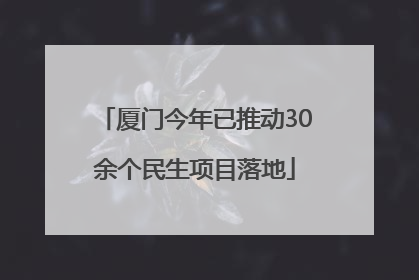 厦门今年已推动30余个民生项目落地