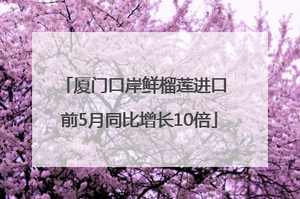 厦门口岸鲜榴莲进口 前5月同比增长10倍