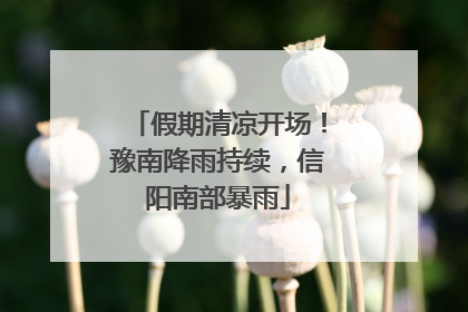 假期清凉开场！豫南降雨持续，信阳南部暴雨