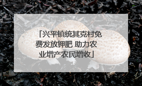 兴平镇统其克村免费发放钾肥 助力农业增产农民增收
