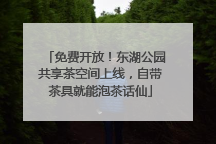 免费开放！东湖公园共享茶空间上线，自带茶具就能泡茶话仙