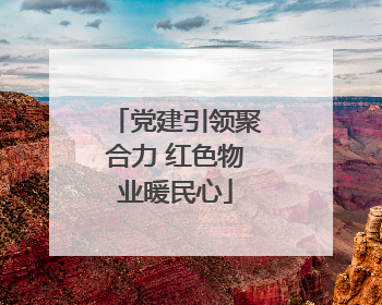 党建引领聚合力 红色物业暖民心