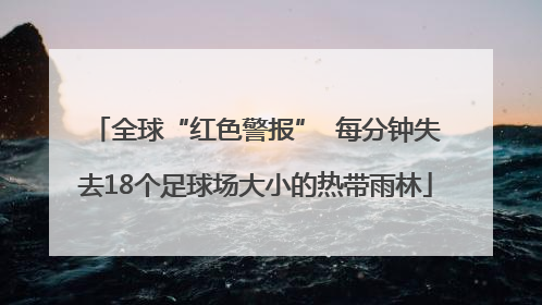 全球“红色警报”  每分钟失去18个足球场大小的热带雨林