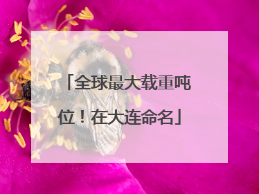 全球最大载重吨位！在大连命名