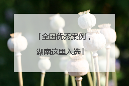 全国优秀案例，湖南这里入选