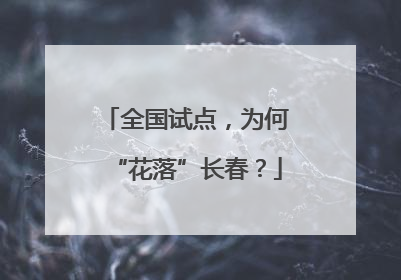 全国试点，为何“花落”长春？
