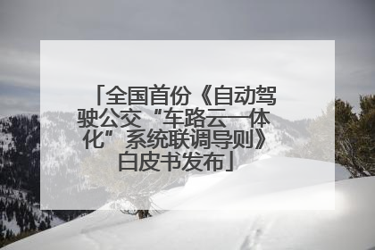 全国首份《自动驾驶公交“车路云一体化”系统联调导则》白皮书发布