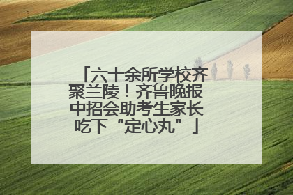 六十余所学校齐聚兰陵！齐鲁晚报中招会助考生家长吃下“定心丸”