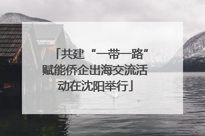 共建“一带一路”赋能侨企出海交流活动在沈阳举行