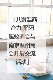 共聚温商合力 平阳腾蛟商会与南京温州商会开展交流活动